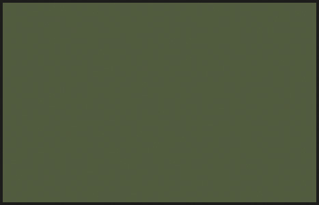 Кр.акр. на раств. DARK GREEN (KAWASAKI) п/м.(10мл)