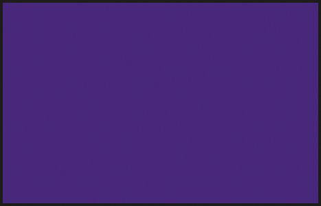 Кр.акр. на раств. PURPLE бл.(10мл)
