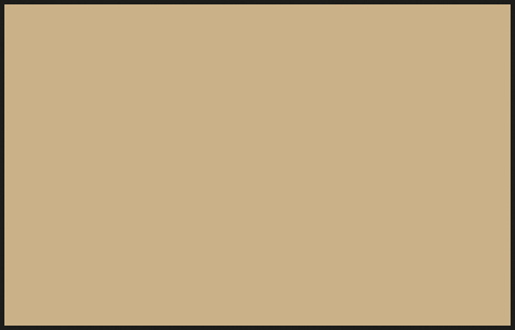 Кр.акр. на раств. IDF GRAY- 1981 SINAI (10мл)
