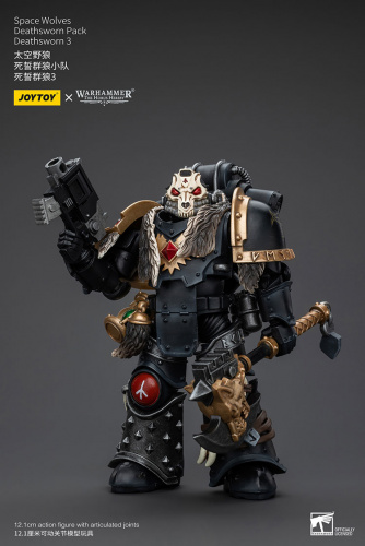 Space wolves, Deathsworn pack, Deathsworn 3, [JT6090]