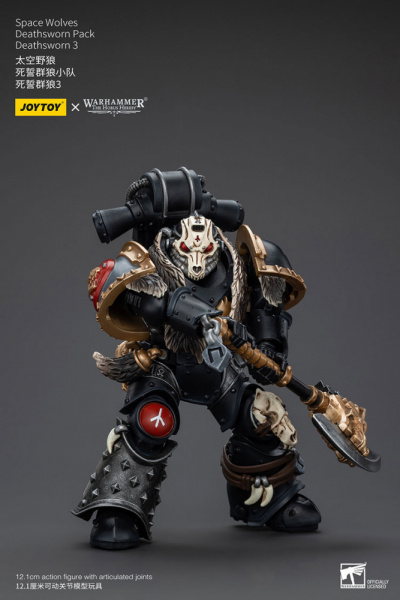 Space wolves, Deathsworn pack, Deathsworn 3, [JT6090]