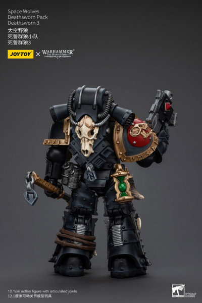 Space wolves, Deathsworn pack, Deathsworn 3, [JT6090]