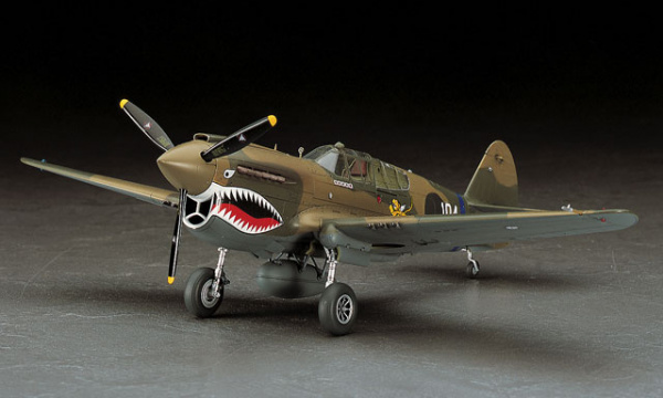 Истребитель ВВС США P-40E Warnawk, 1:48, [09086]