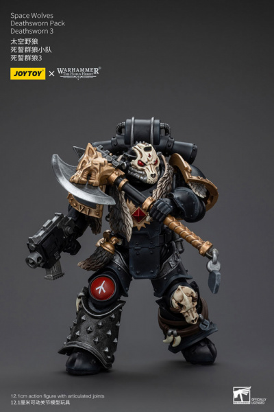 Space wolves, Deathsworn pack, Deathsworn 3, [JT6090]