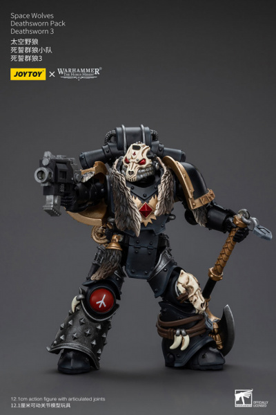 Space wolves, Deathsworn pack, Deathsworn 3, [JT6090]