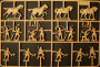 Солдатики Britich Warriors (100 Yars War)