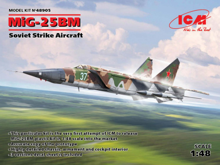 МиГ-25 БМ, Советский противорадарный самолет, 1:48, (48905)
